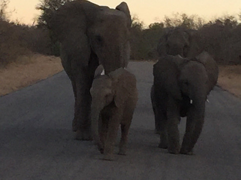 Regent Safaris-雾观必去景点