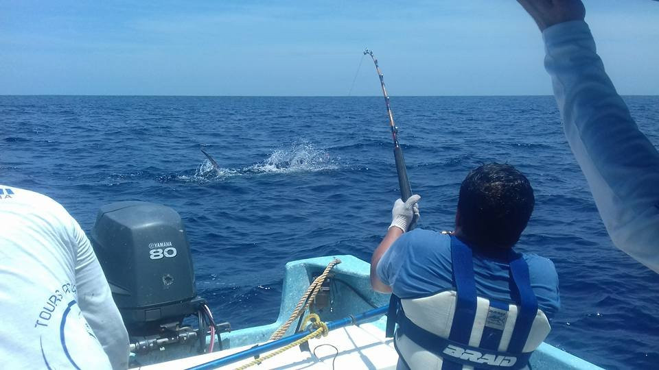 Tours Acuaticos Mahi-Mahi-曼萨尼约必去景点