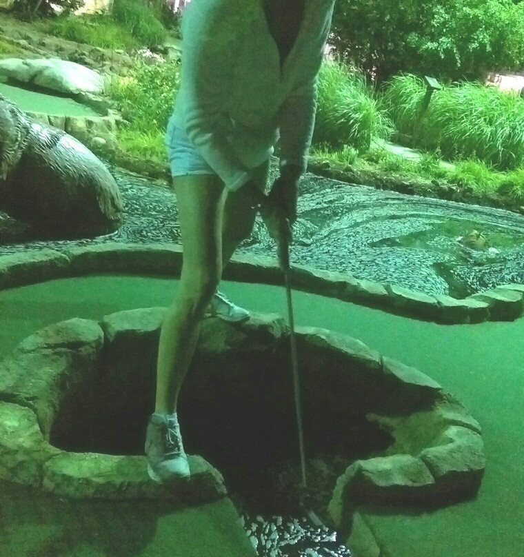 Wilderness Falls Mini Golf-Bolingbrook必去景点