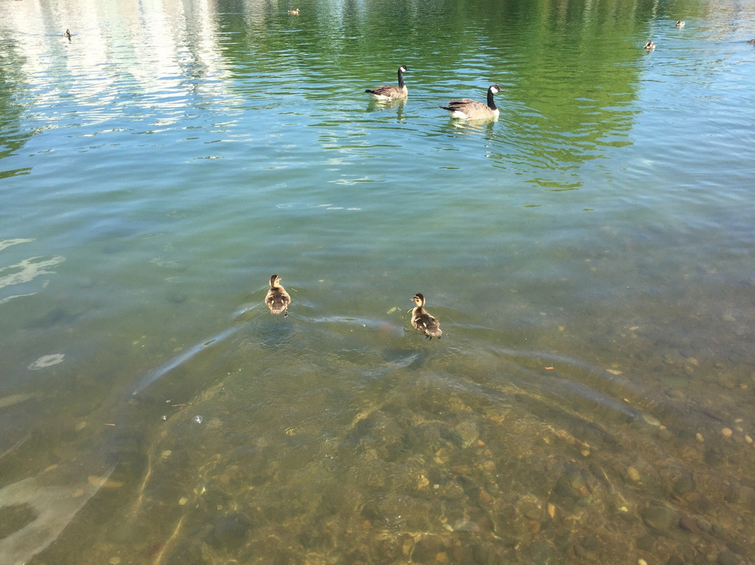 Cabela's-图拉丁必去景点