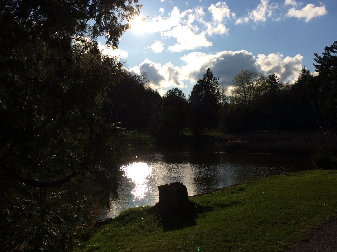 Jackson Park-彼得伯勒必去景点