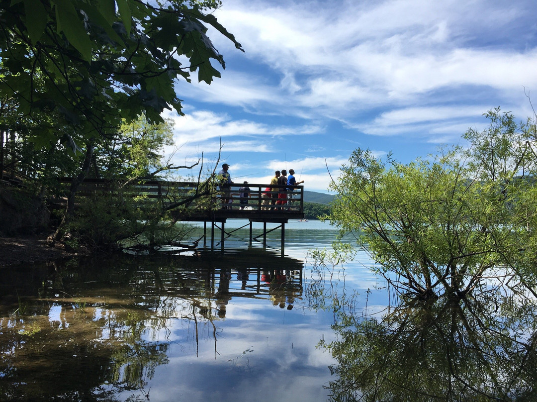 Carvins Cove Natural Reserve-罗阿诺克必去景点