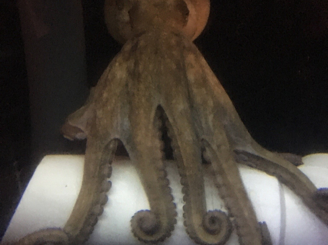 Exploration Center & Aquarium-纽波特必去景点