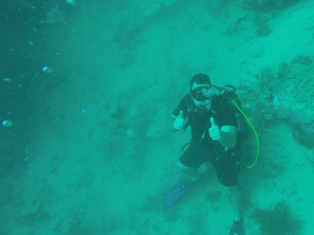 Nautilus Plongee-Mamoudzou必去景点