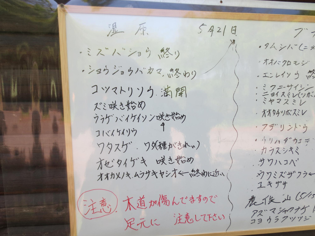 Mizubasho主图