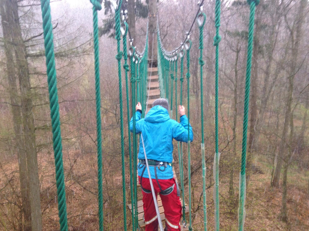 Gorilla Park Svendborg-Stenstrup必去景点