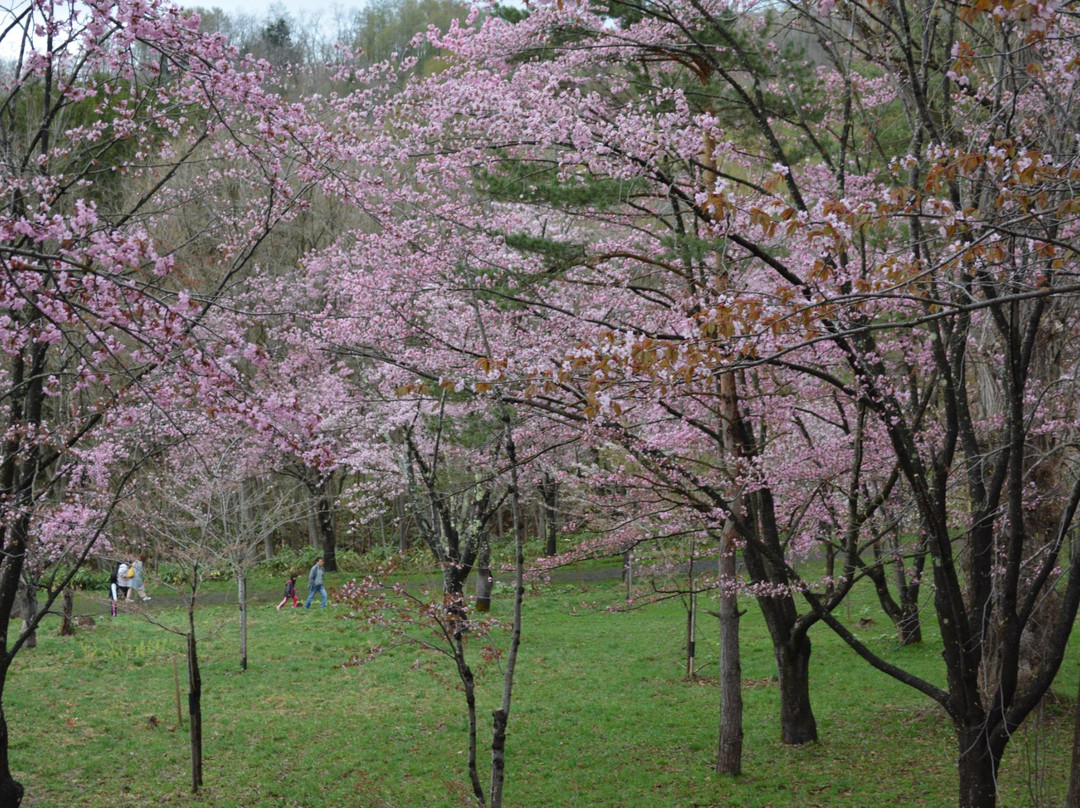 Tomei Park-美呗市必去景点