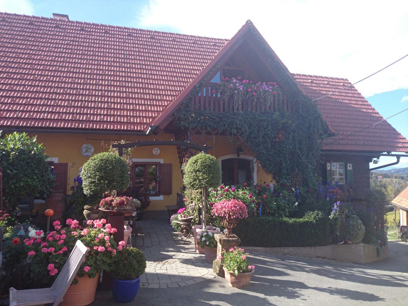Weinhof Narat-Zitz-餐饮