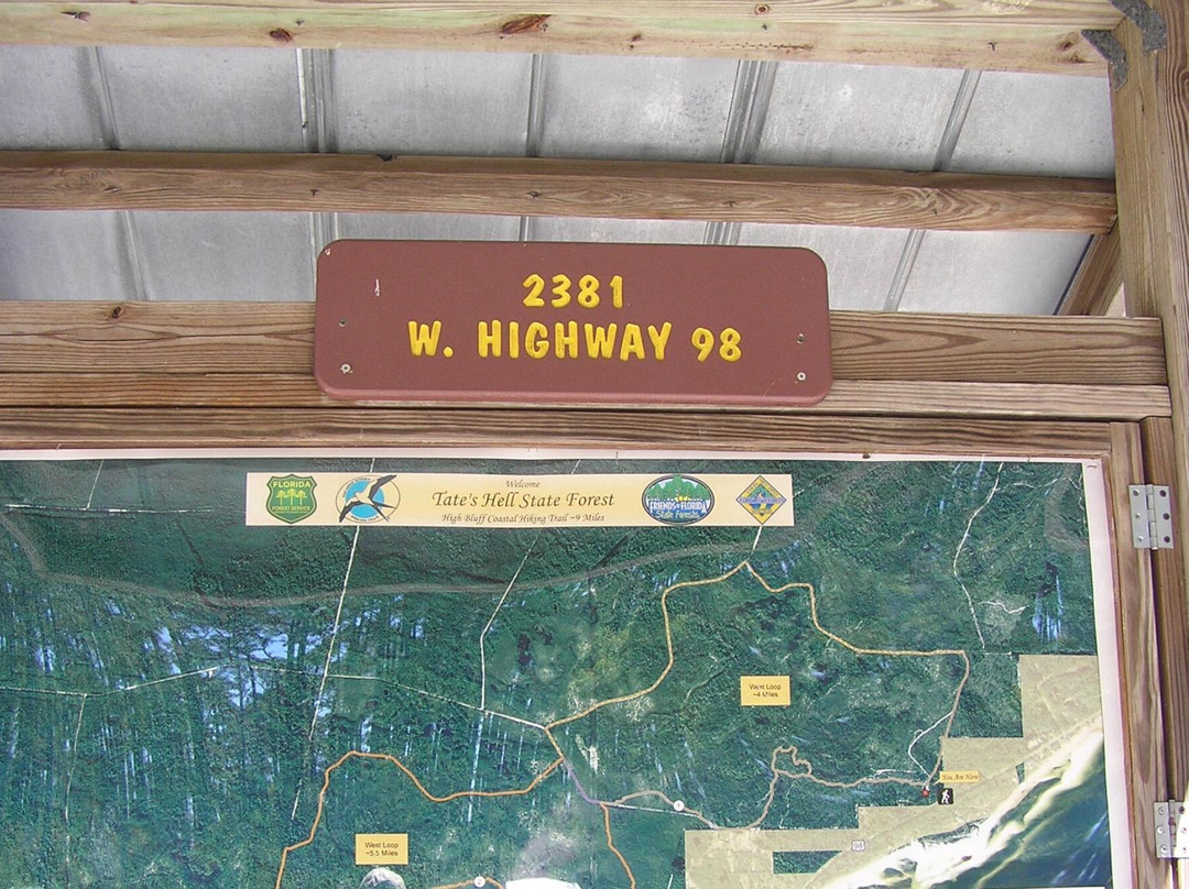 Tate's Hell State Forest景点图片