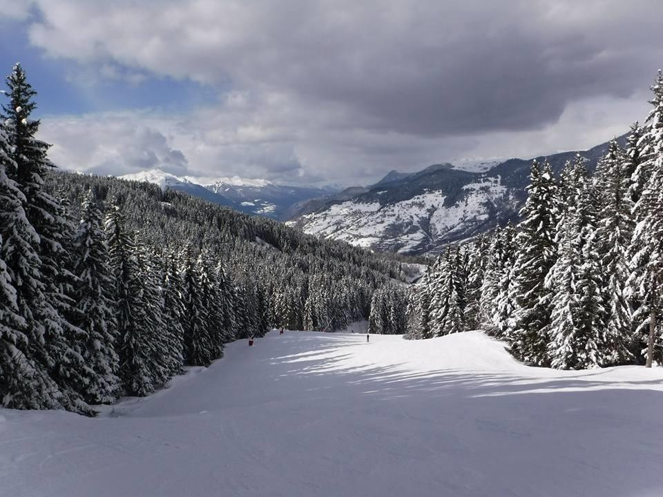 La Tania酒店住宿-Chalet Beauvallon