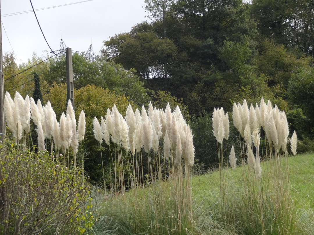 Chapelle Saint-Roch-Juncalas必去景点