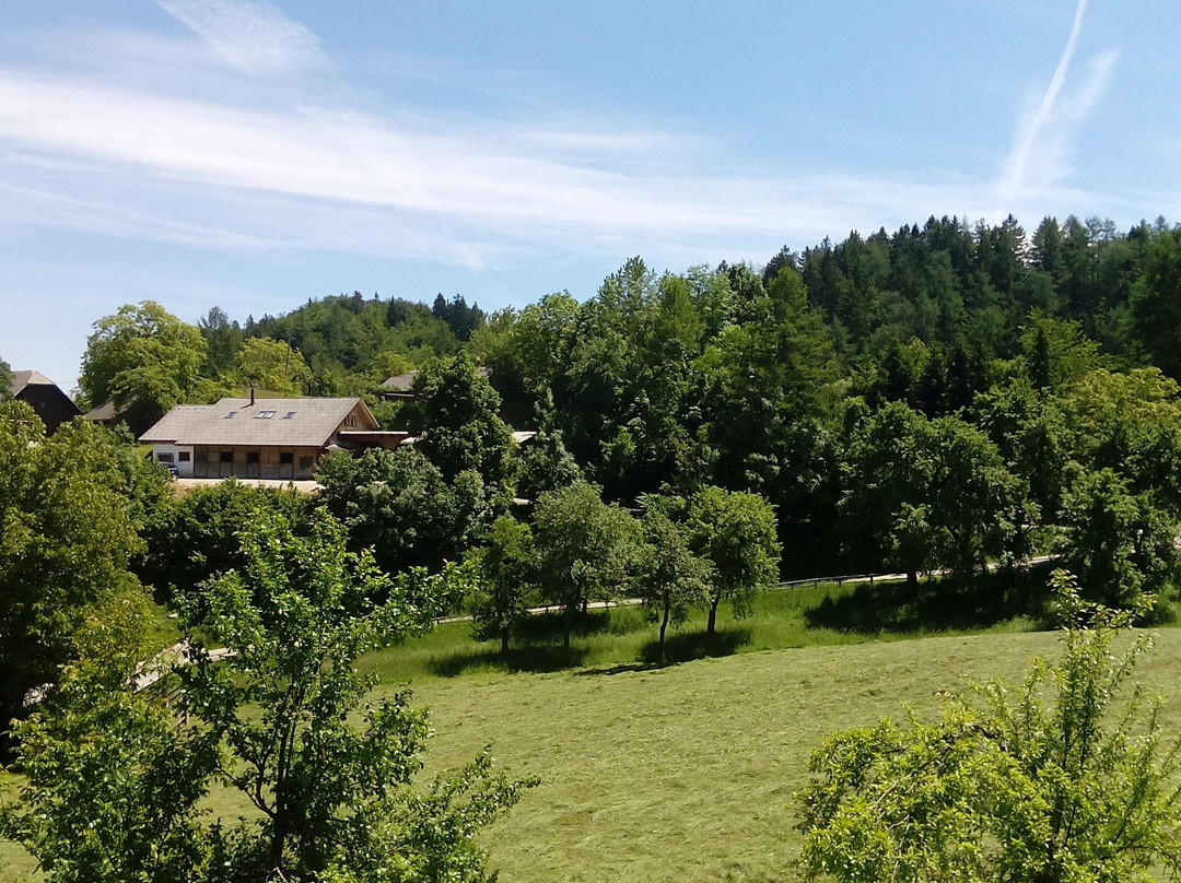 Kmetija Pr' Kolenc景点图片