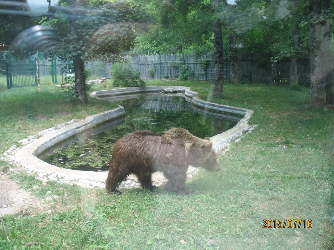 Centro Visita di Pescasseroli景点图片