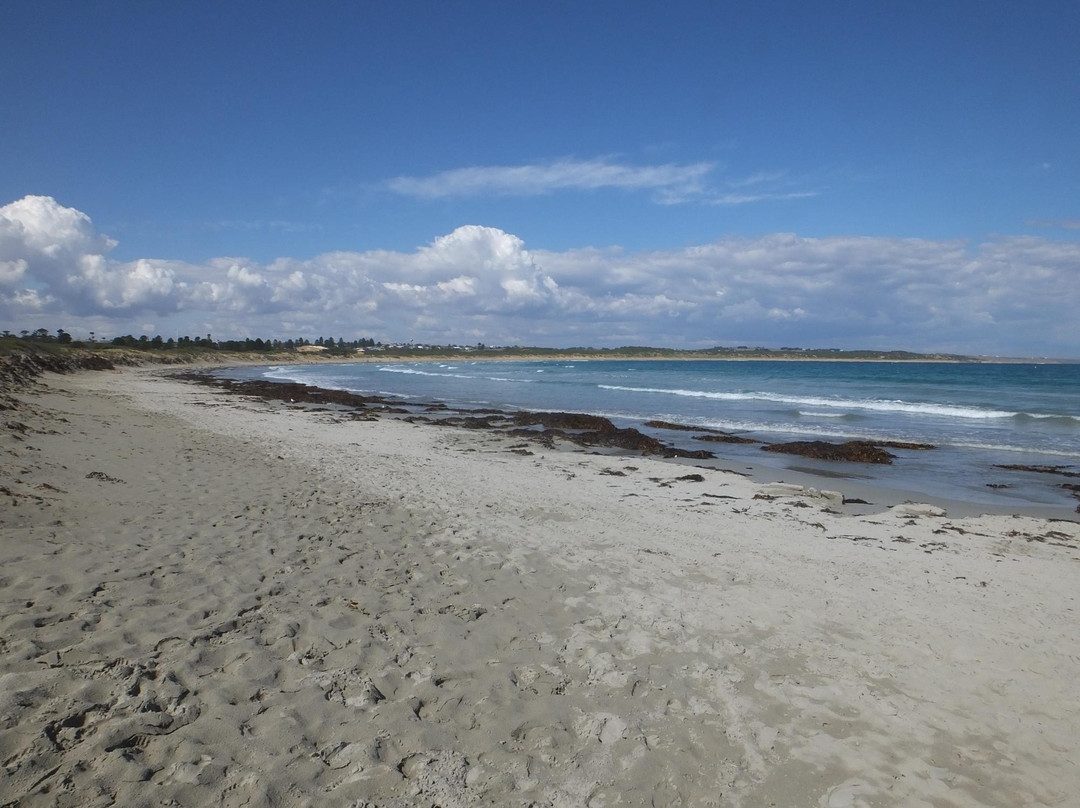 Foreshore Promenade-瓦南布尔必去景点