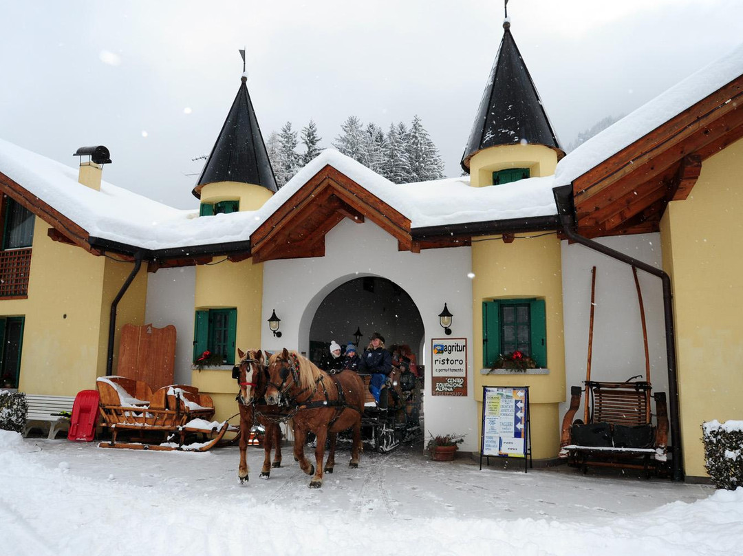 Agritur Centro Equitazione Alpina Val di Sole景点图片