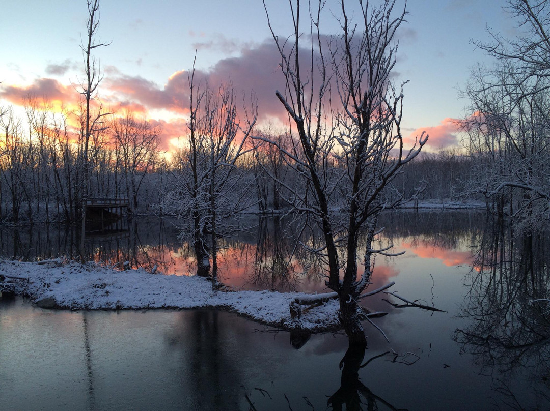 Millennium Park-Walker必去景点