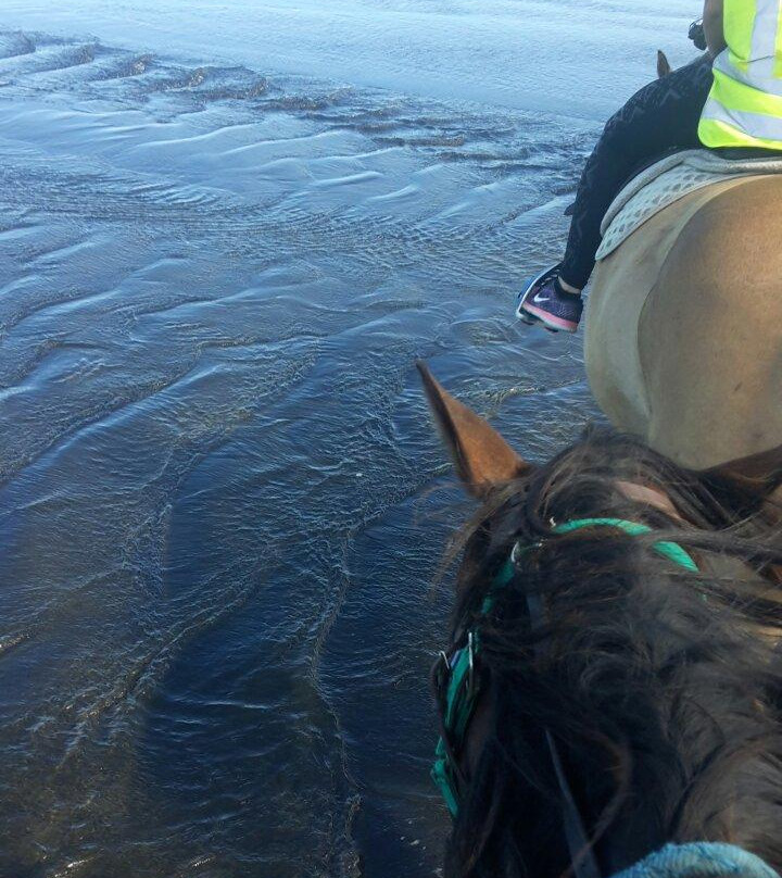 Aboutriding. Co. Nz-穆里怀海滩必去景点