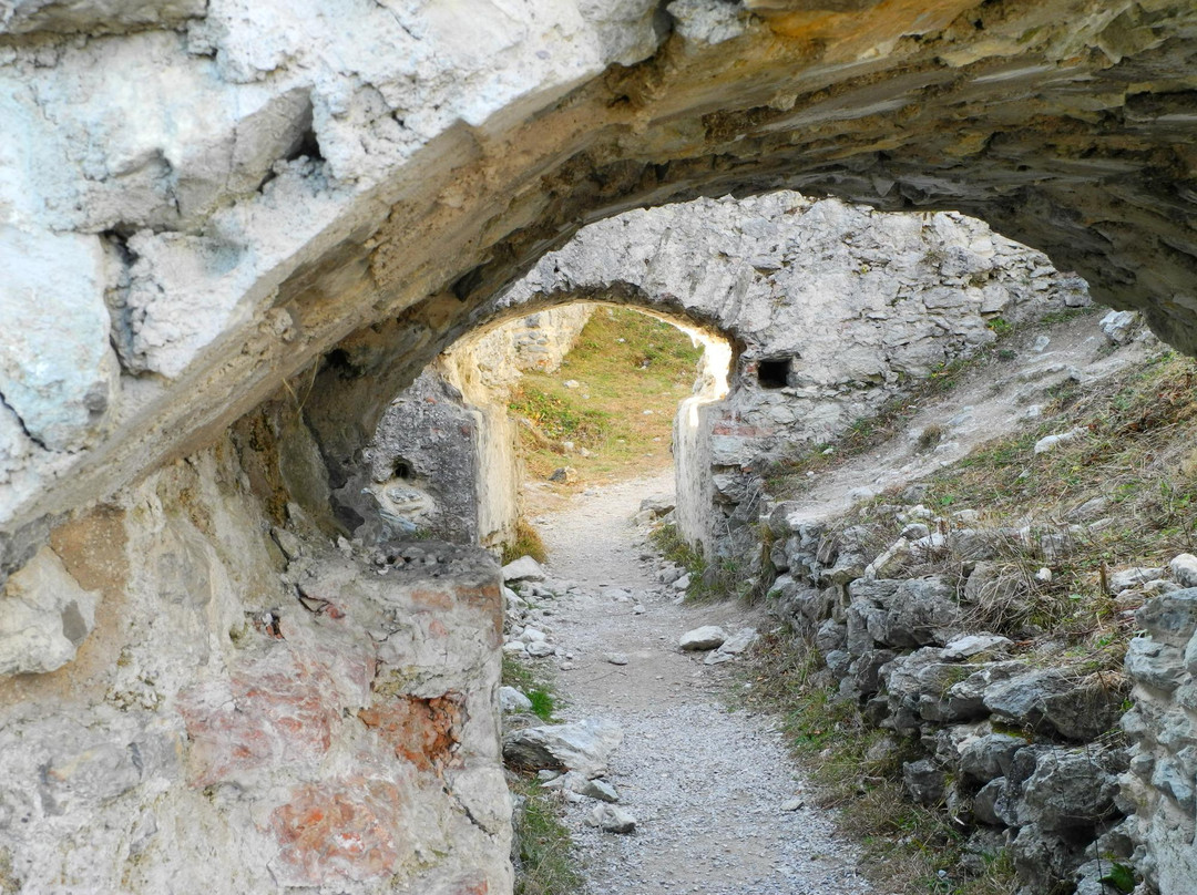 Burgruine Hohenfreyberg景点图片