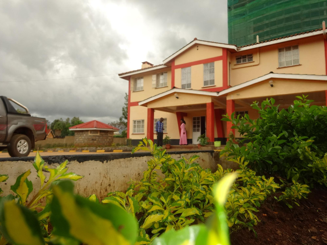 Travellers Palm Guest House主图