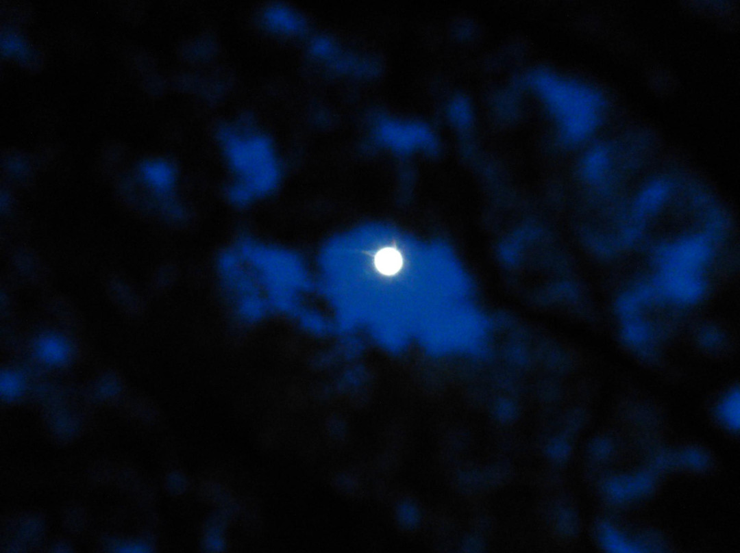 Camp Ben McCulloch-Driftwood必去景点