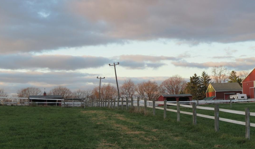 Flint Hill Farm AG-库珀斯堡必去景点