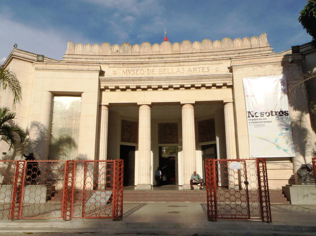 Museo de Bellas Artes-加拉加斯必去景点