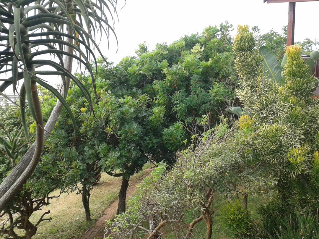 Illovo River Lodge