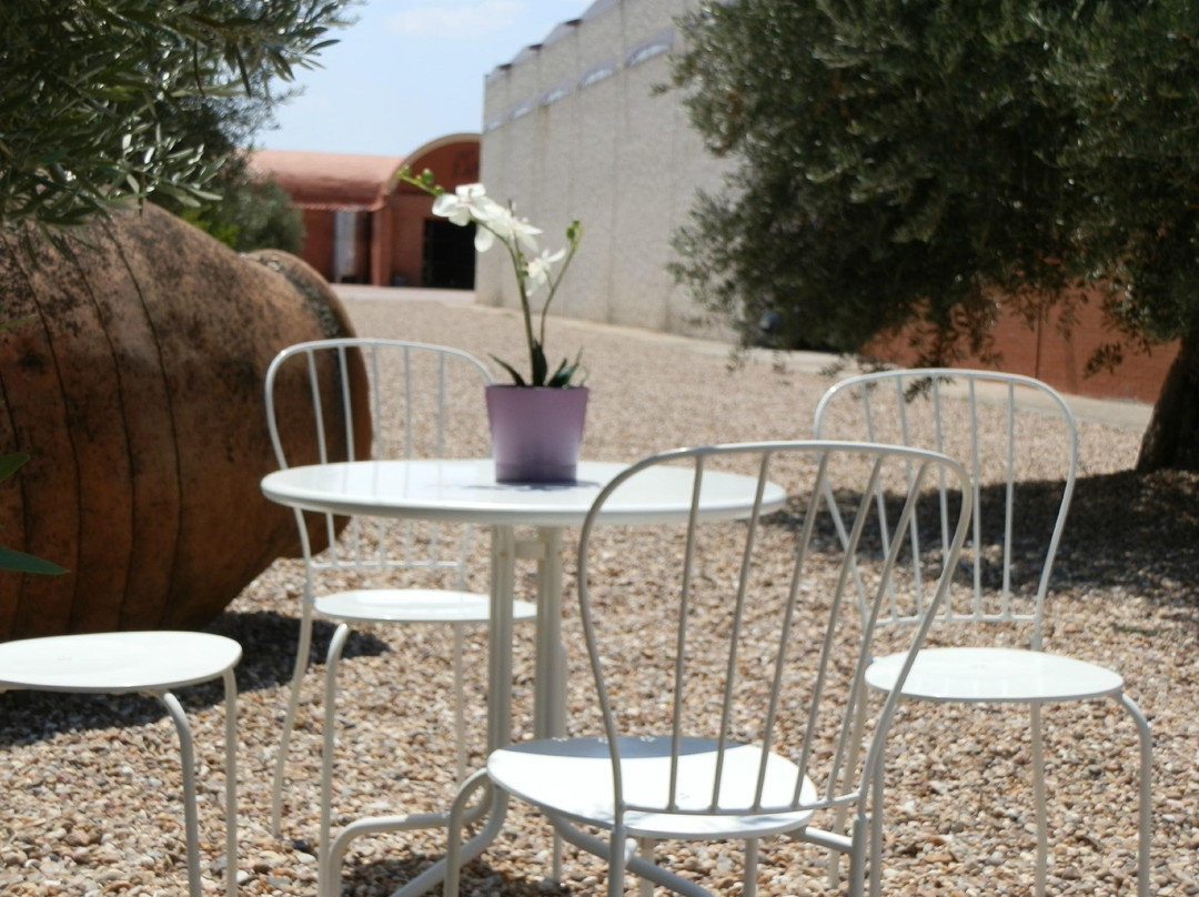 Bodega Cyan-Toro必去景点