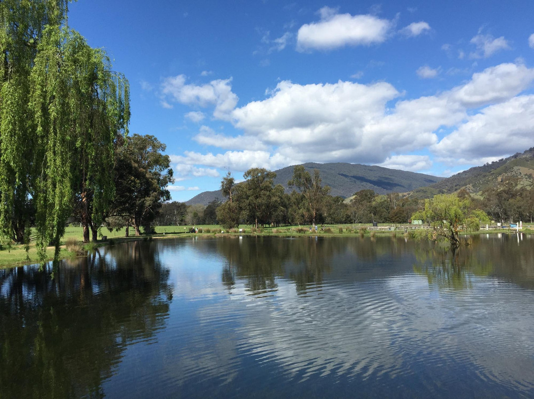 Eildon Trout Farm-Thornton必去景点
