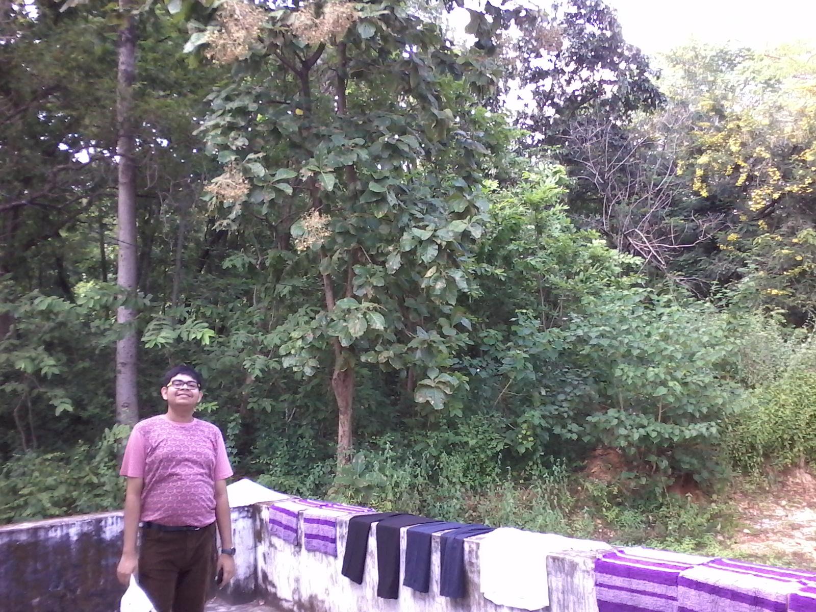 Panthnivas Sambalpur-客卧