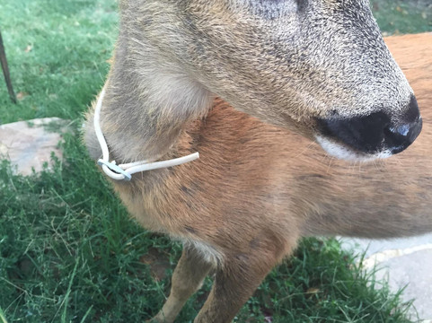 San Polino Winery-蒙塔尔奇诺必去景点