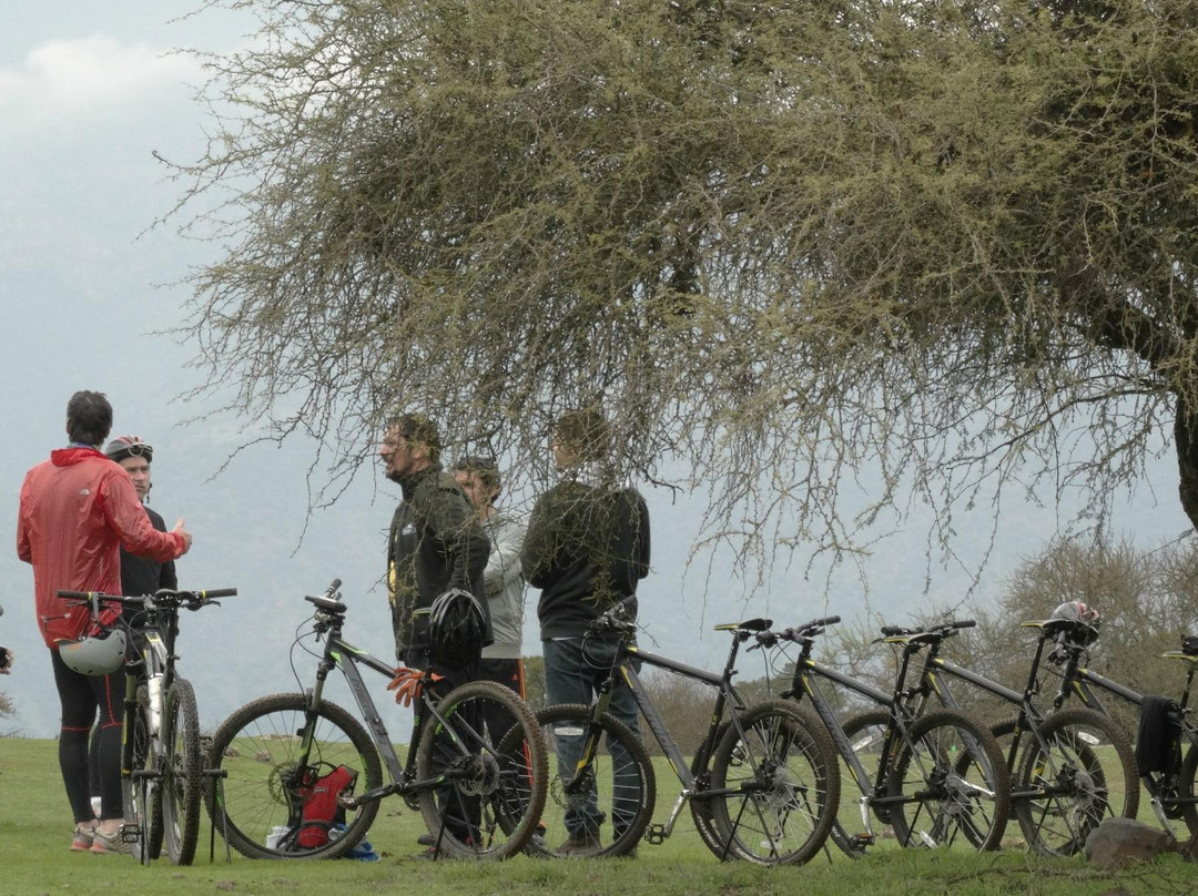 WinkulTrips-Pichidegua必去景点