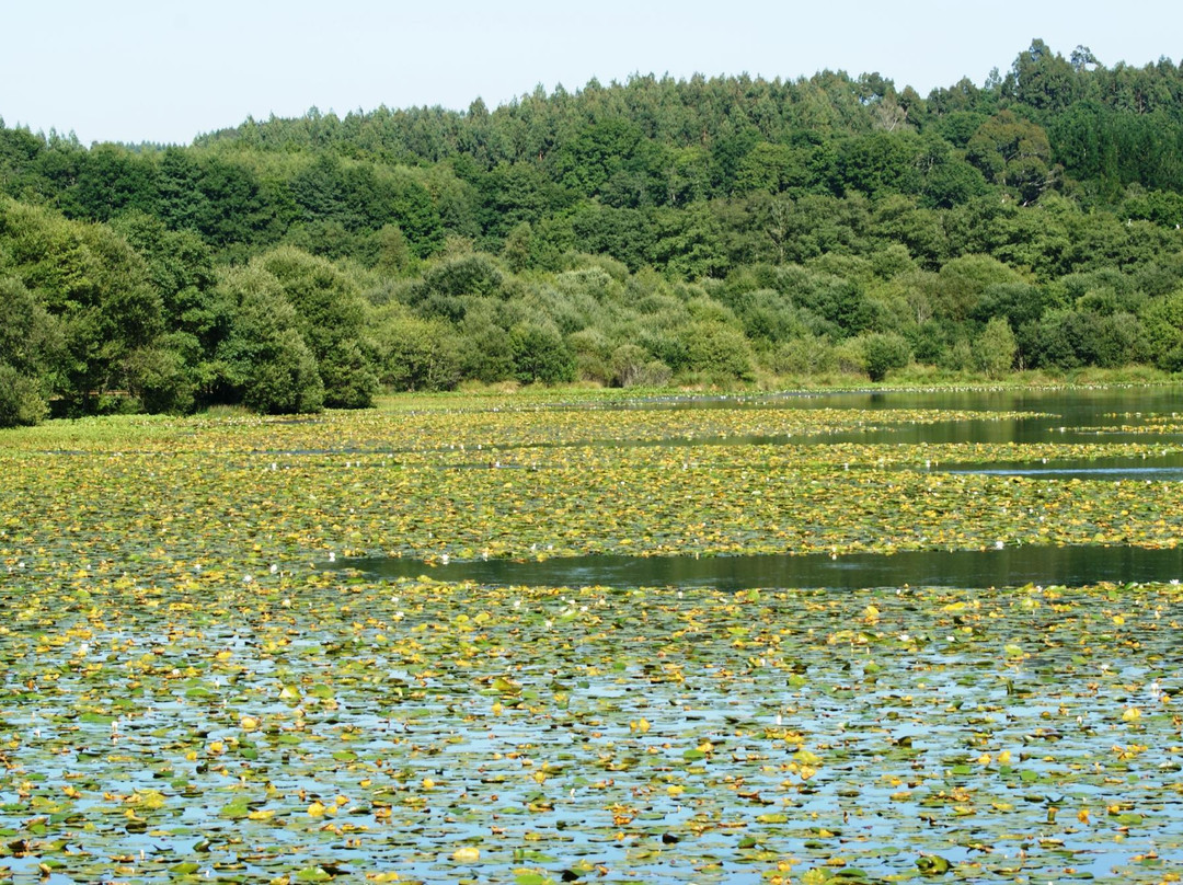 Lagoa de Sobrado景点图片