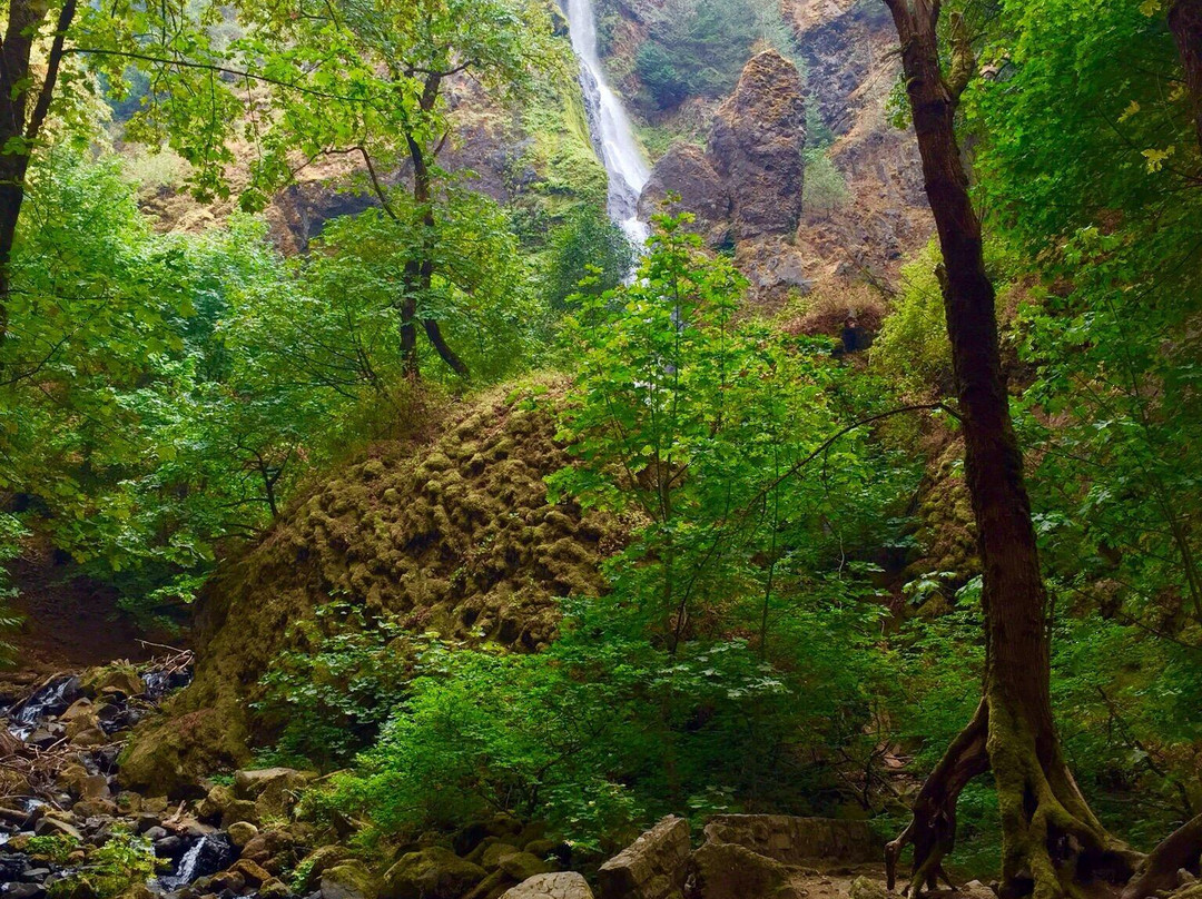 Starvation Creek Ridge Loop-Cascade Locks必去景点