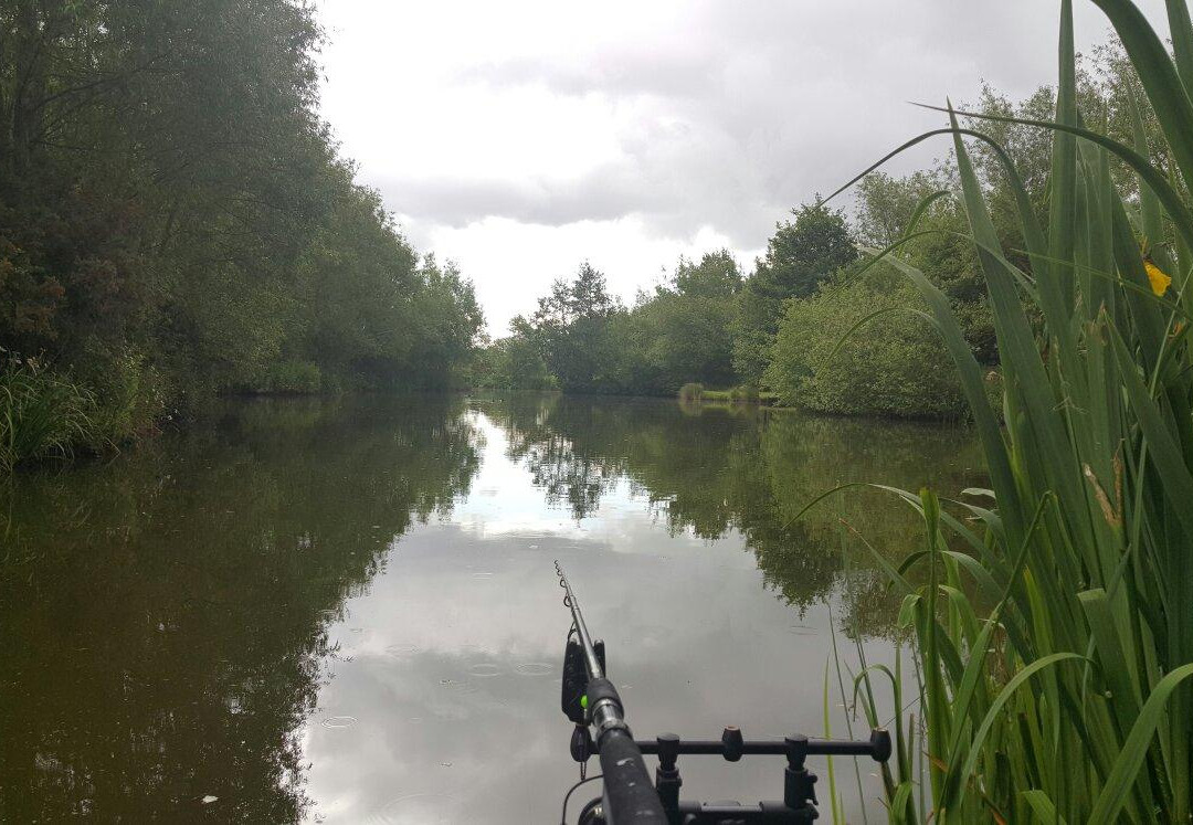 Packington Somers Fishery景点图片