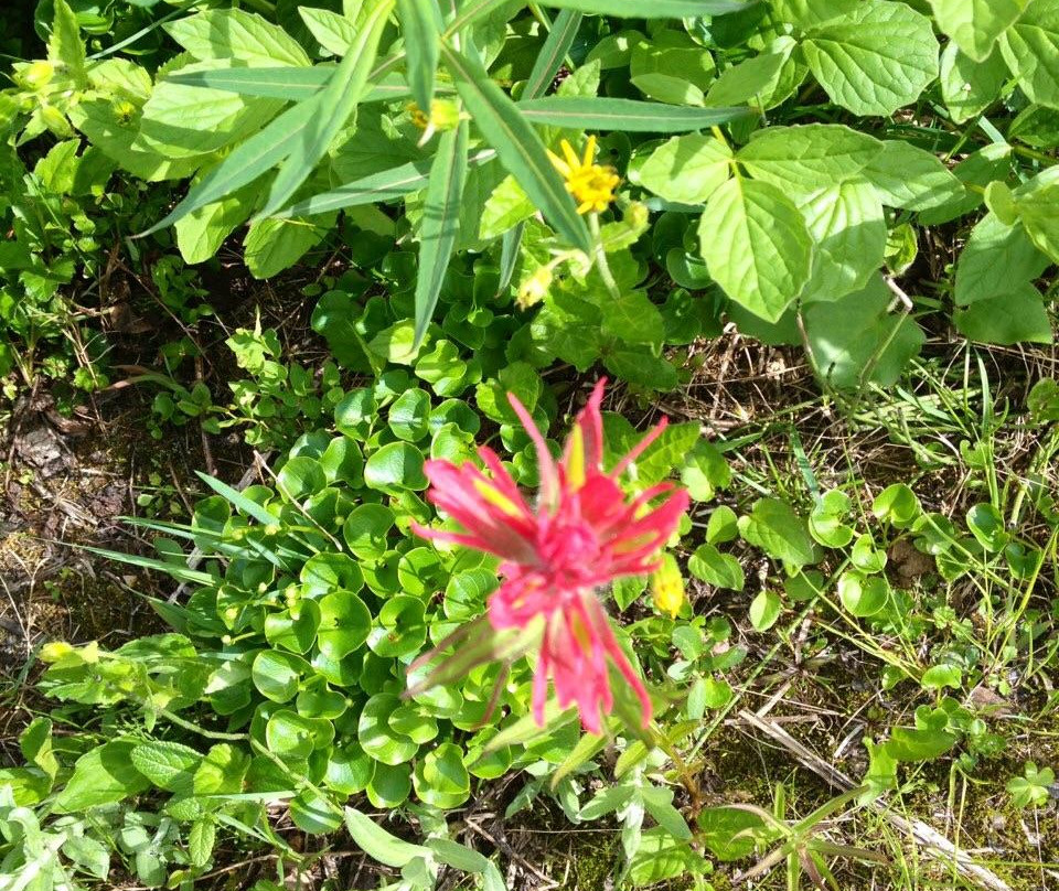 Gorman Lake-戈尔登必去景点