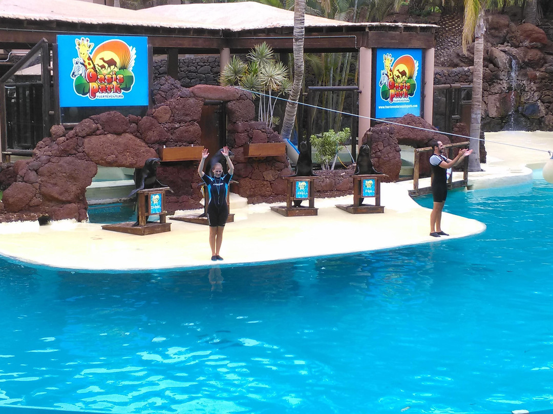 Oasis Park Fuerteventura景点图片