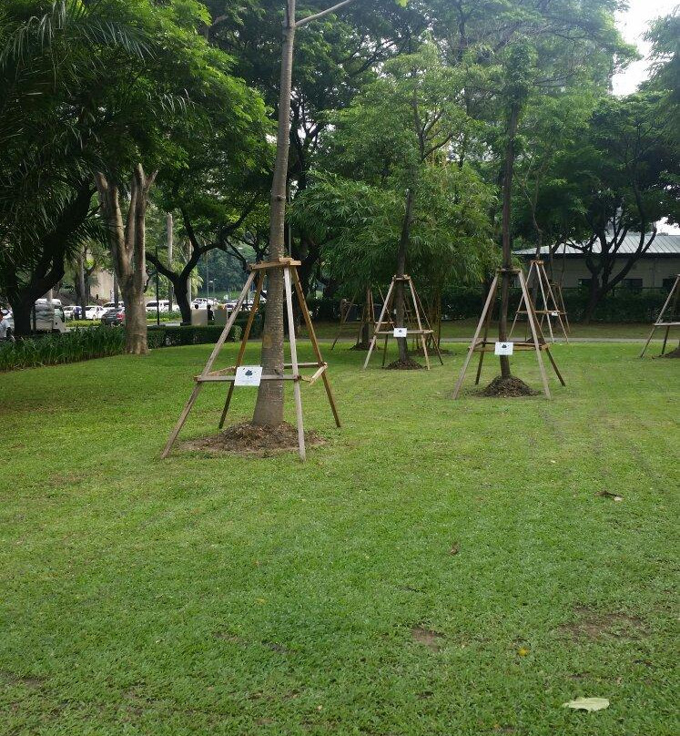 Ayala Triangle Gardens-马卡蒂必去景点
