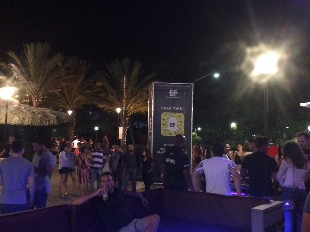 Gusto Nightclub Aruba-棕榈/鹰海滩必去景点