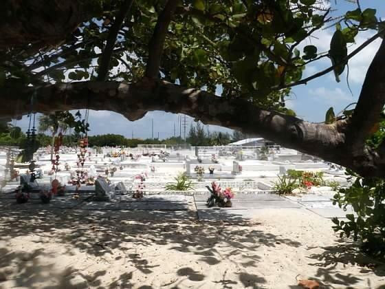 Cemetery Beach and Reef-大开曼岛必去景点