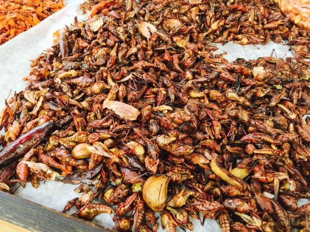 Vivencias México by Alejandra-普埃布拉必去景点