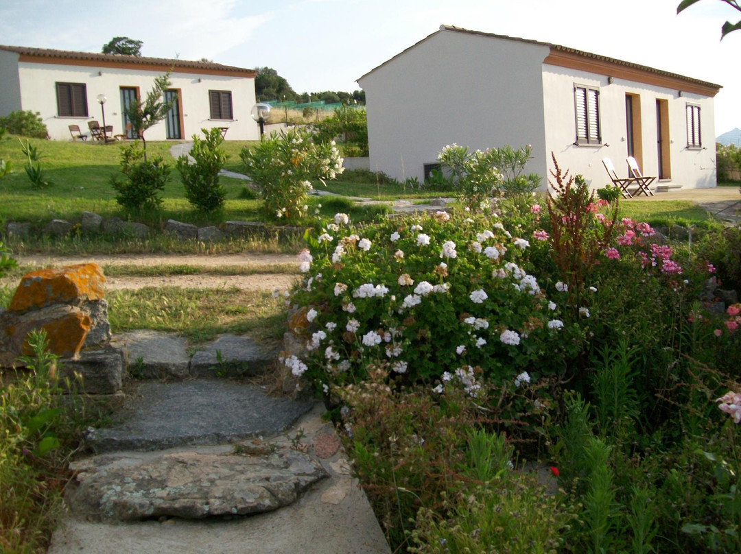 Agriturismo Bed and Breakfast Maltana主图