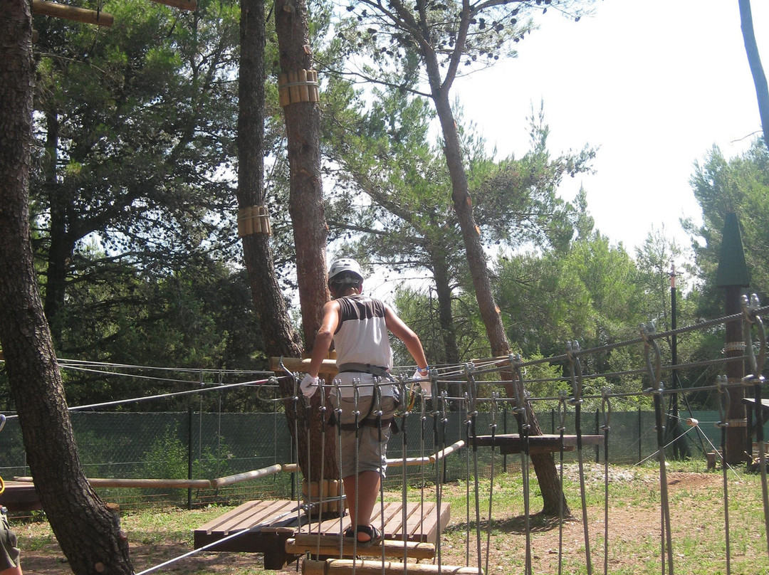 Adventure Park-Kozino必去景点