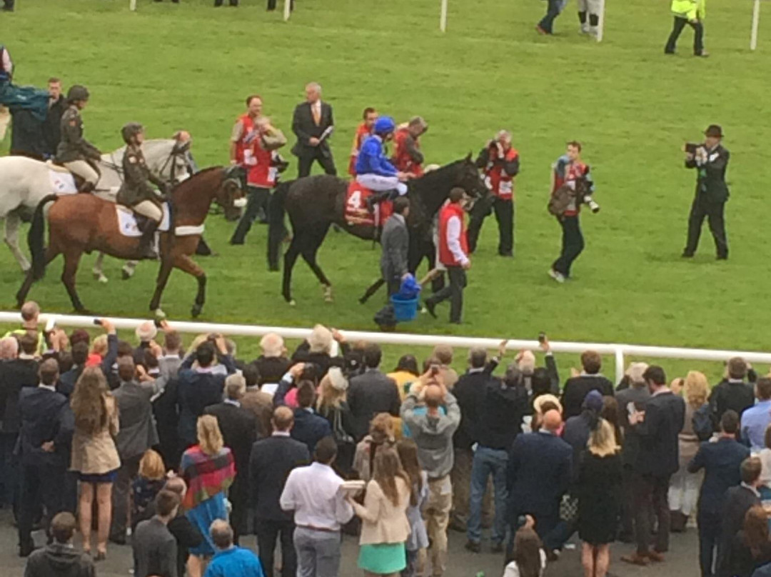 The Curragh Racecourse-基尔代尔郡必去景点