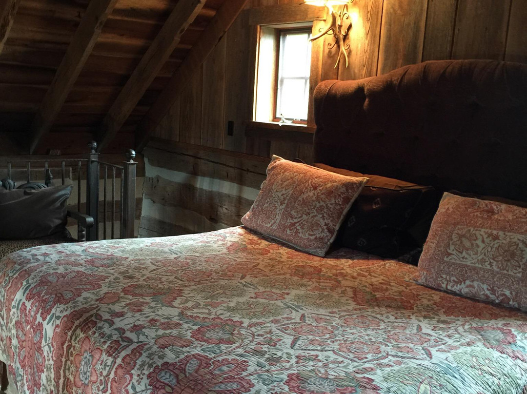 Driftwood酒店住宿-Hillside Cabin