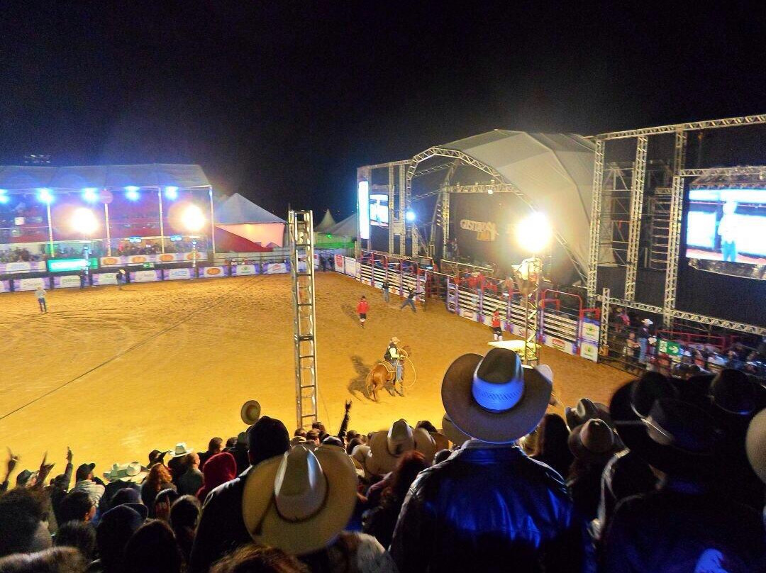 Lavras Rodeo Festival景点图片