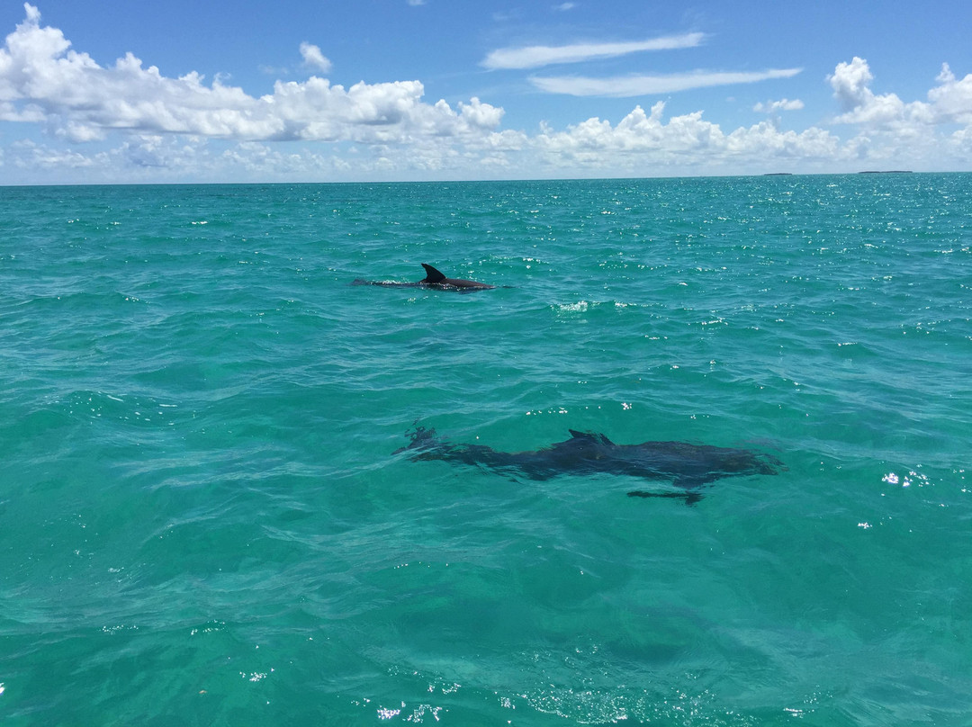 Straw Hat Charters-基韦斯特必去景点
