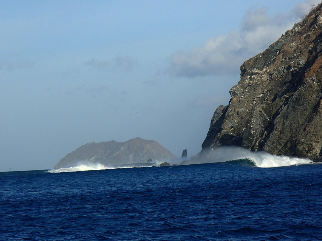 Single Fin Surf Charters-Playas del Coco必去景点