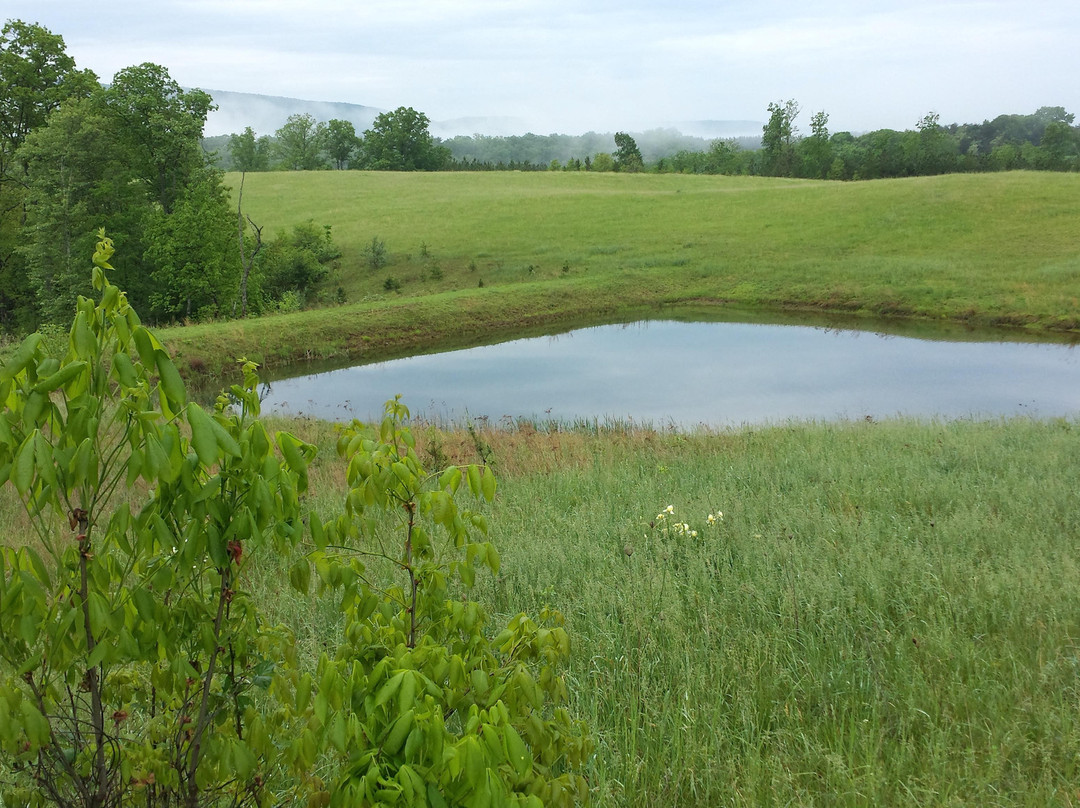 Sleepy Creek Mountain Inn主图