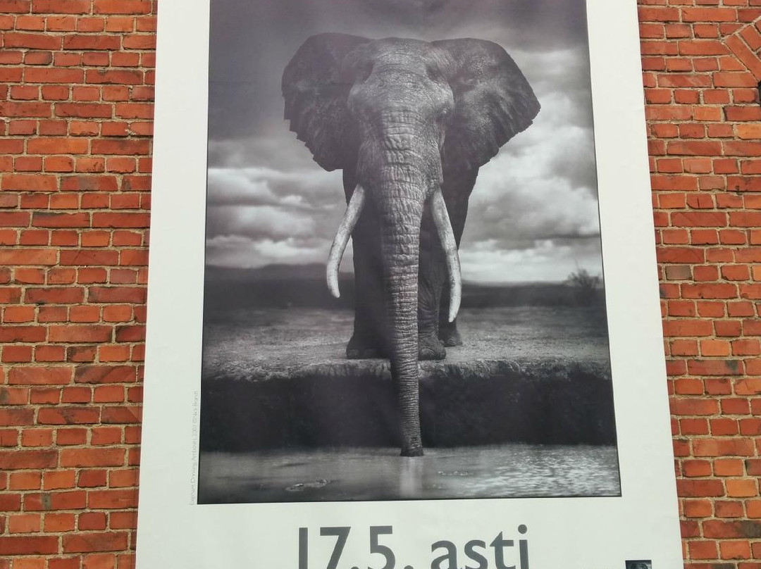 Salon Taidemuseo Veturitalli-Salo必去景点